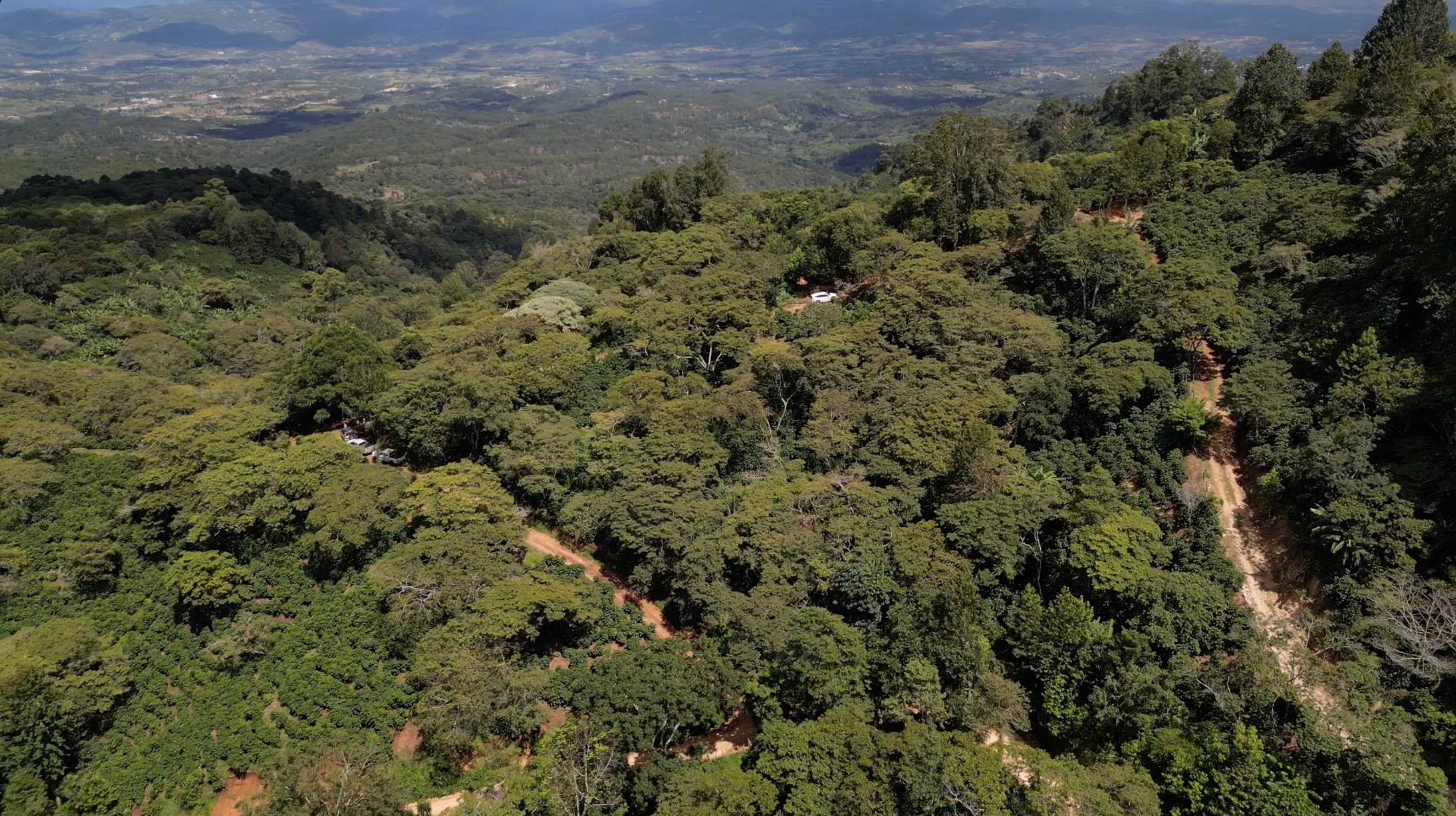 Imagen de la finca Loma Alta