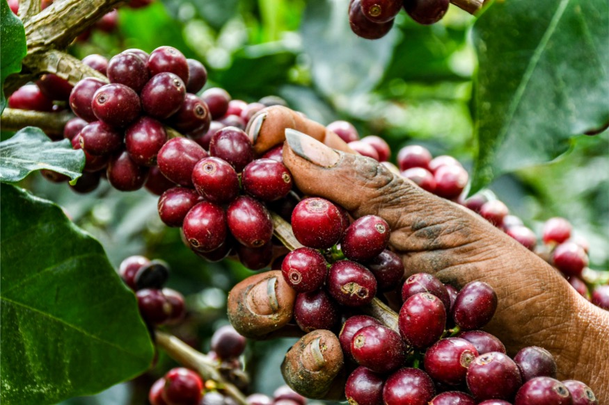  Loma Escondida gallery 