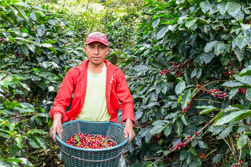  Loma Escondida gallery 