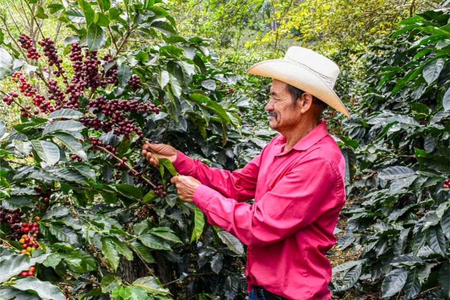  Loma Escondida gallery 