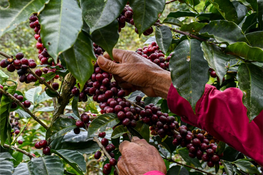  Loma Escondida gallery 