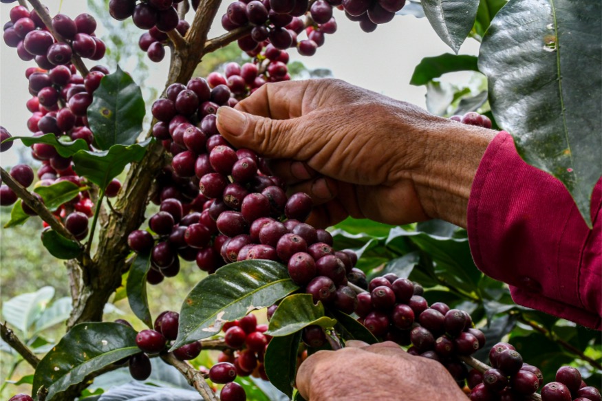  Loma Escondida gallery 