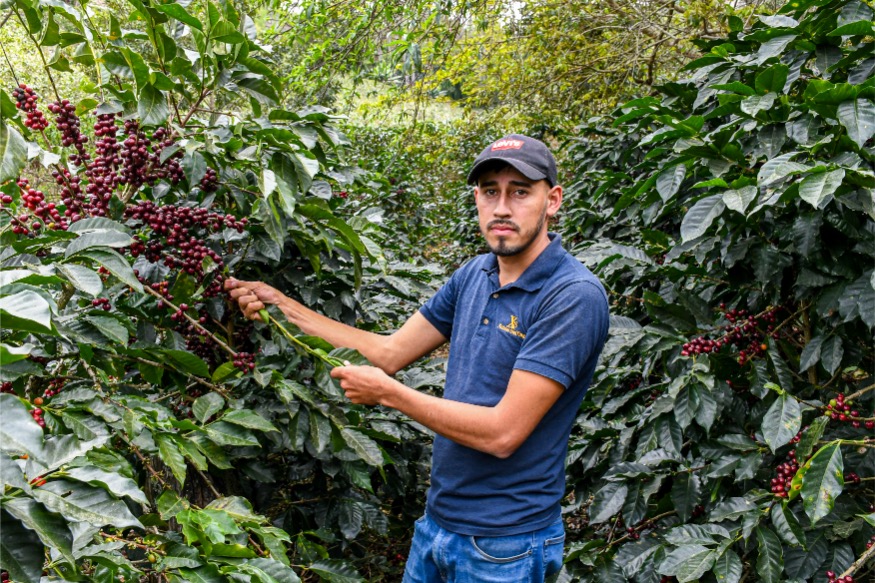  Loma Escondida gallery 